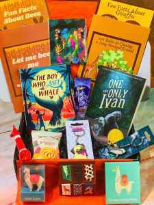 Mbawa Books subscription box