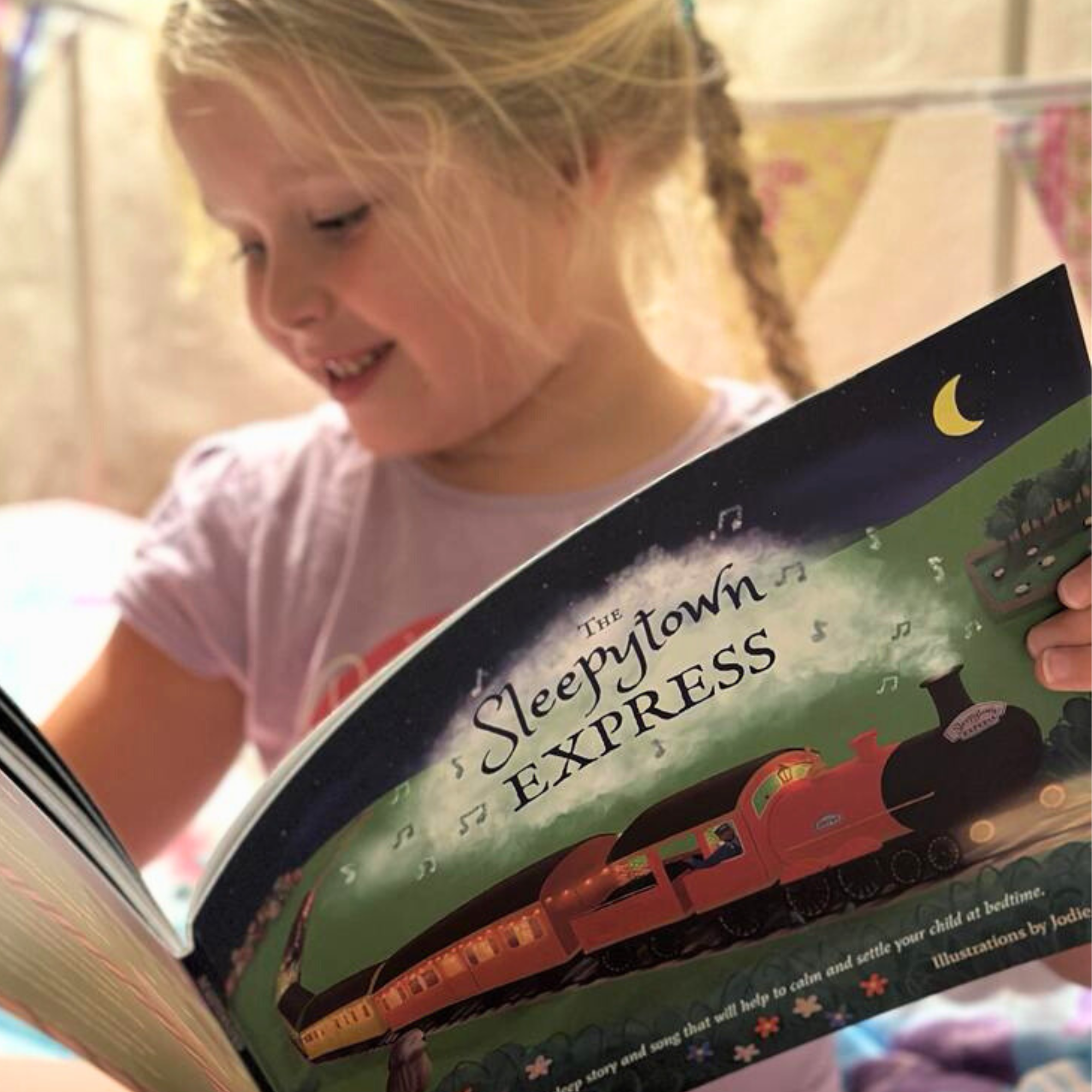 the-sleepytown-express-book